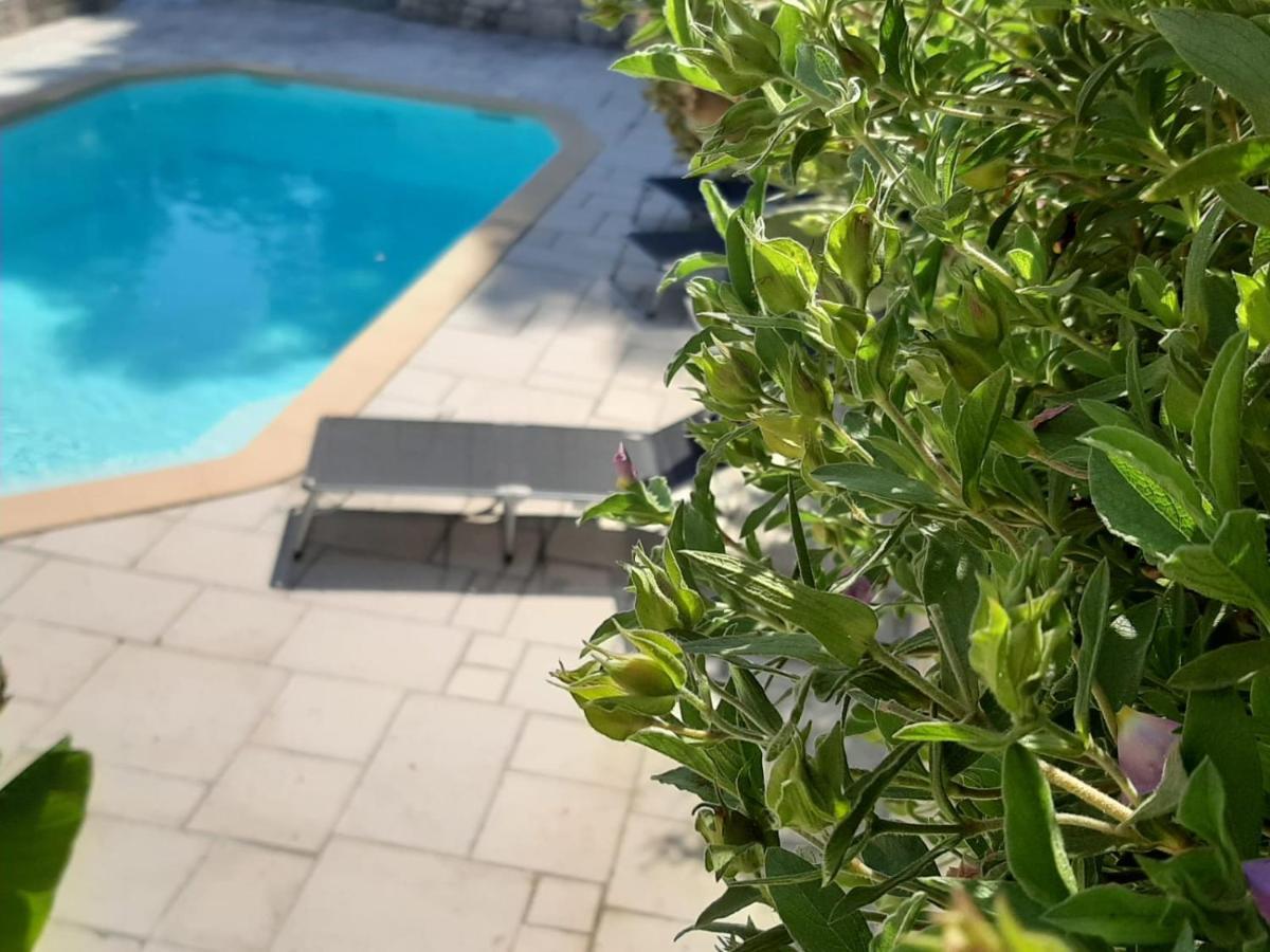 La Villa Jasmin Montauroux Eksteriør bilde