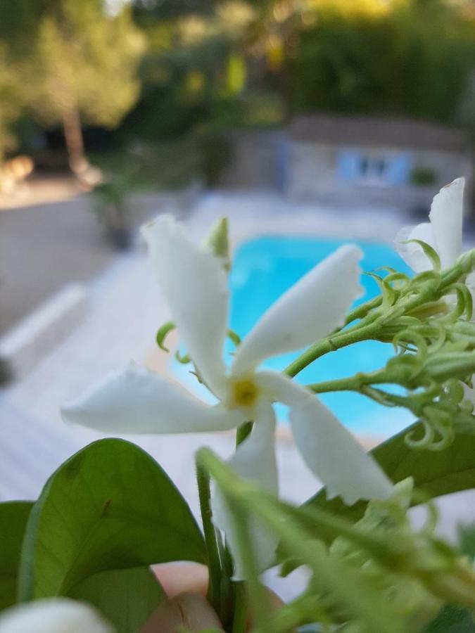 La Villa Jasmin Montauroux Eksteriør bilde